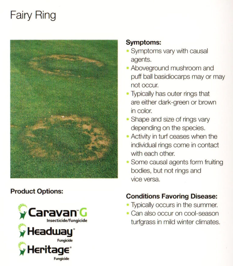 Fungicides SandSational Lawns